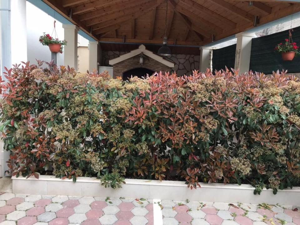Apartmani Mane Trogir Luaran gambar