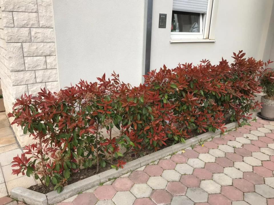 Apartmani Mane Trogir Luaran gambar
